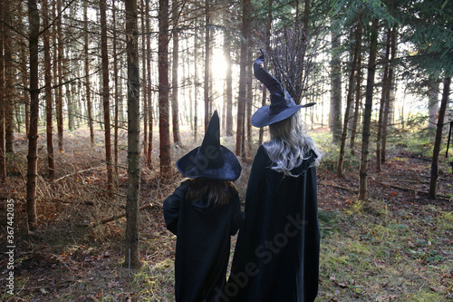 Halloween holiday . Two witches with brooms in a dark forest. Carnival holiday in October.Magic rituals and ceremonies.Silhouettes of witches in the sun in the dark autumn forest.Autumn season