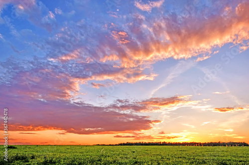 summer sunset sky landscape background in countryside with green grass meadow and sparse forest on horizon. Wide view of rural scenery on evening. Natural blue red yellow orange color of cloudscape