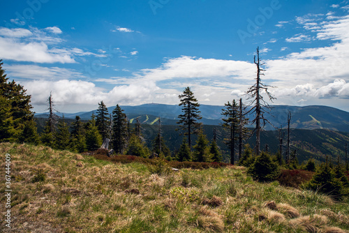 Beautiful Jeseniky mountains scenery with Praded hill from Spaleny vrch hill above Kouty nad Desnou in Czech republic