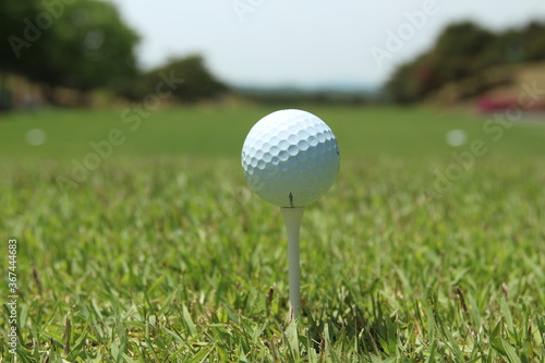 a golf ball on a golf course