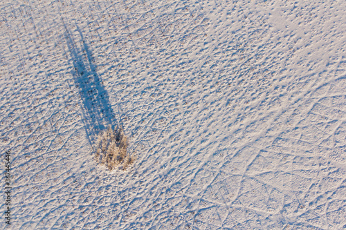 Winter landscape, tracks in the form of a wild goat and wild boar trail in the snow, top view, at the foot of the Badzhalsky mountain range in the far East of Russia. photo