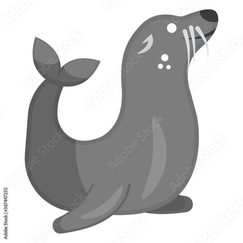 
Modern trendy flat design of fur seal icon
