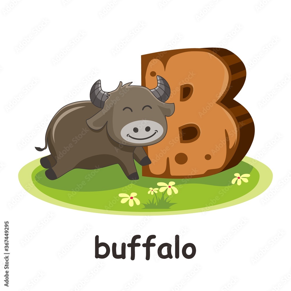 Buffalo Animals Wooden Alphabet Education Letter B Stock Vector | Adobe  Stock