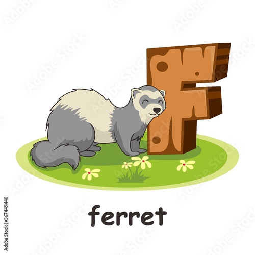 Ferret Wooden Alphabet Education Animals Letter F