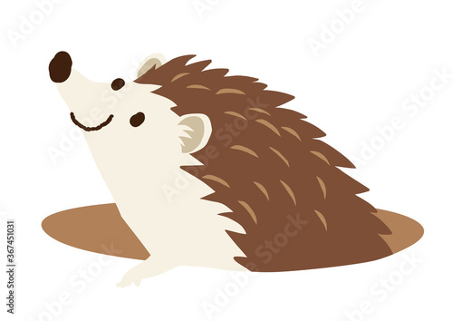 穴から顔を出すハリネズミ　イラスト