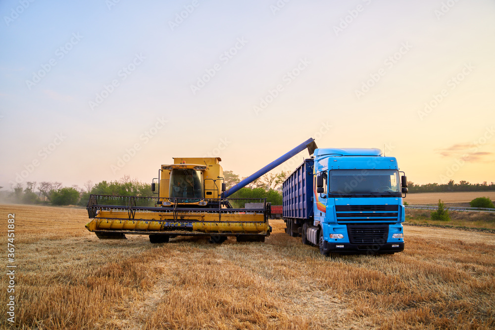 Overloading grain from the combine harvesters into a grain truck in the field. Harvester unloder pouring just harvested wheat into grain box body. Farmers at work. Agriculture harvesting season theme. Overloading grain from the combine harvesters into a grain truck in the field. Harvester unloder pouring just harvested wheat into grain box body. Farmers at work. Agriculture harvesting season theme.