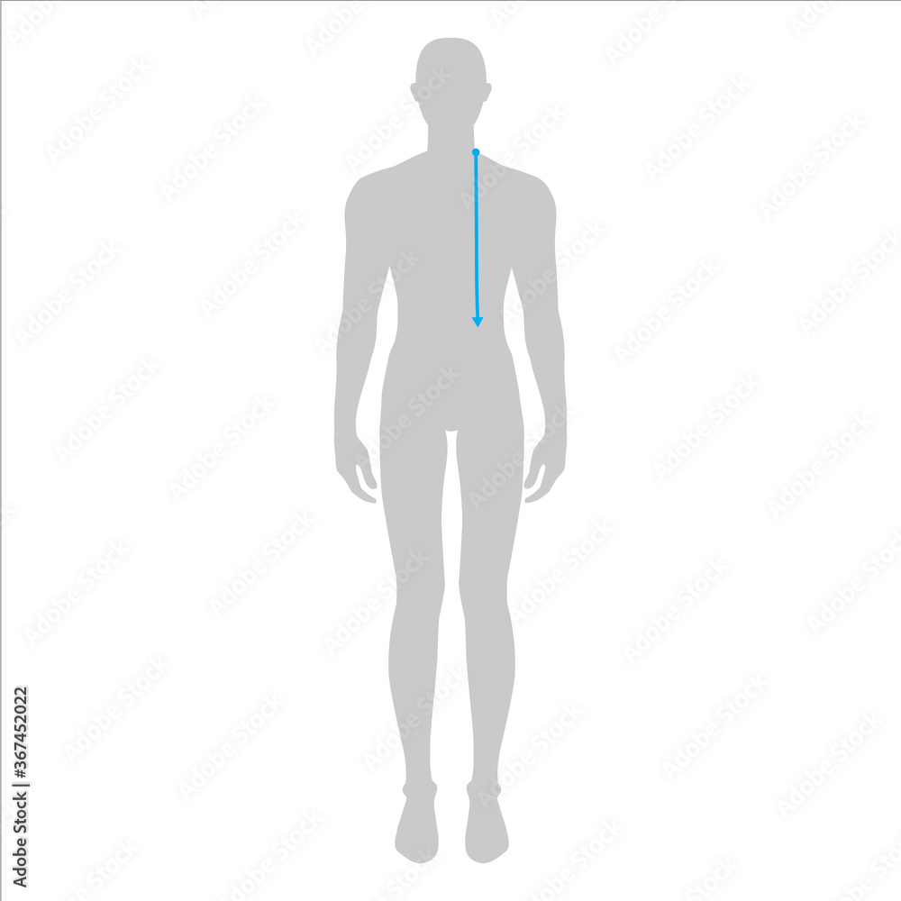 Men to do HPS -high point shoulder- to waist measurement fashion Illustration for size chart. 7.5 head size boy for site or online shop. Human body infographic template for clothes Men to do HPS -high point shoulder- to waist measurement fashion Illustration for size chart. 7.5 head size boy for site or online shop. Human body infographic template for clothes