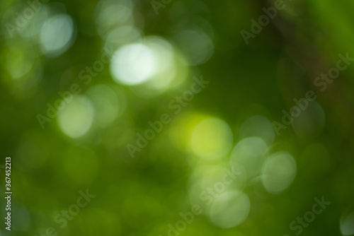 Green bokeh with wall paper.