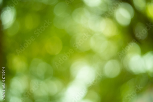 Green bokeh with wall paper.