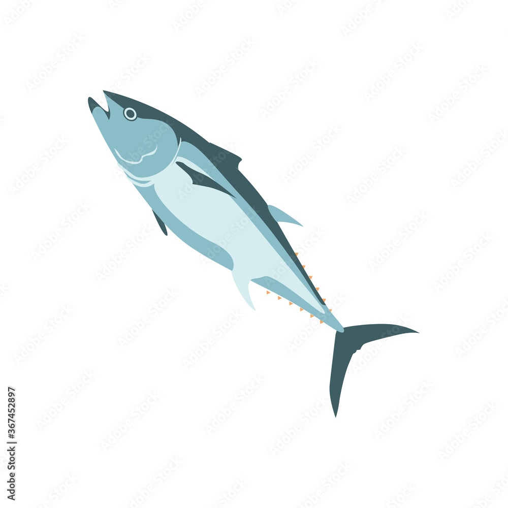 Tuna commercial fish species. Delicious fresh marine fish, seafood menu, fish market design element. Organic natural healthy nutritious food cartoon vector illustration isolated on white background Tuna commercial fish species. Delicious fresh marine fish, seafood menu, fish market design element. Organic natural healthy nutritious food cartoon vector illustration isolated on white background