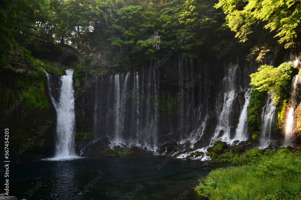 富士・白糸の滝 富士・白糸の滝