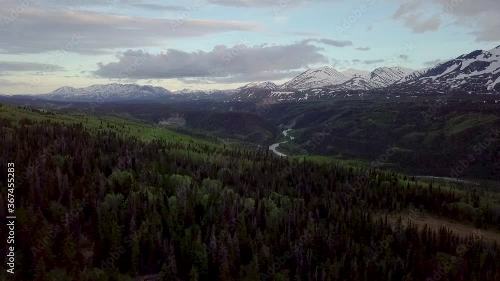 Impressive scenic flight above Yukon green vegetation and dark forest trees on hillside with mountain peaks and range in background on sunny blue sky day, Canada, overhead aerial sideways Impressive scenic flight above Yukon green vegetation and dark forest trees on hillside with mountain peaks and range in background on sunny blue sky day, Canada, overhead aerial sideways