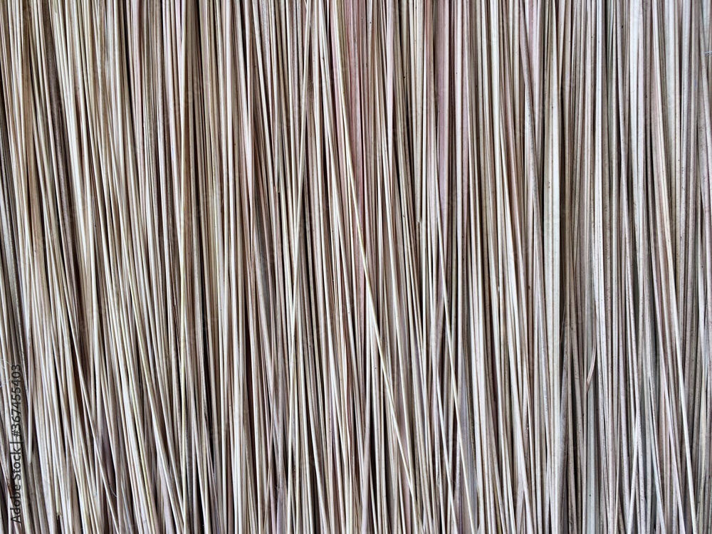 abstract dry grass background abstract dry grass background