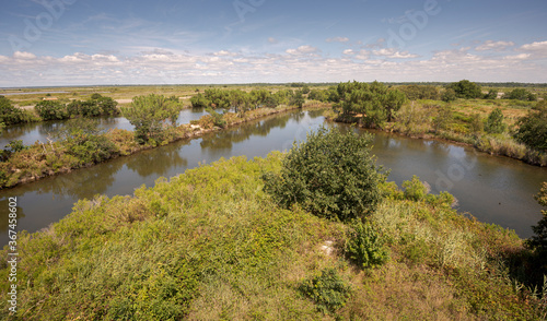 Views of the Ornithological Reserve of Teich  next to the Arcachon Bay  in the Gironde Department  France