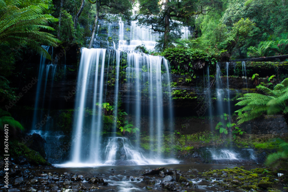 Fototapeta premium waterfall in the forest