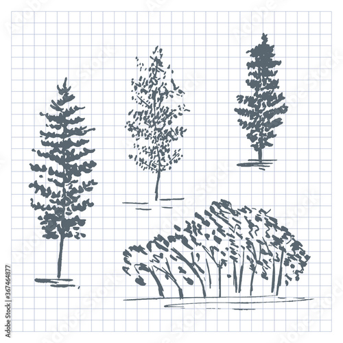 Sketch trees. Set of hand drawn silhouettes trees. Vector illustration isolated on checkered background.