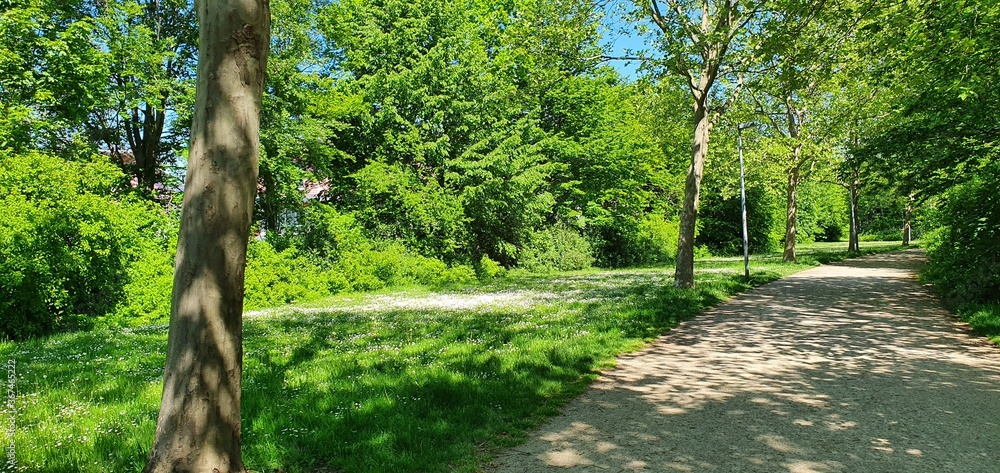 Obraz premium Grüner Wanderweg