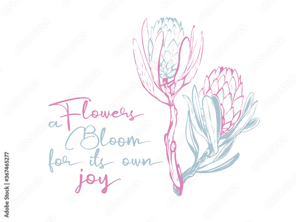 Protea Flower Quotes Best Flower Site