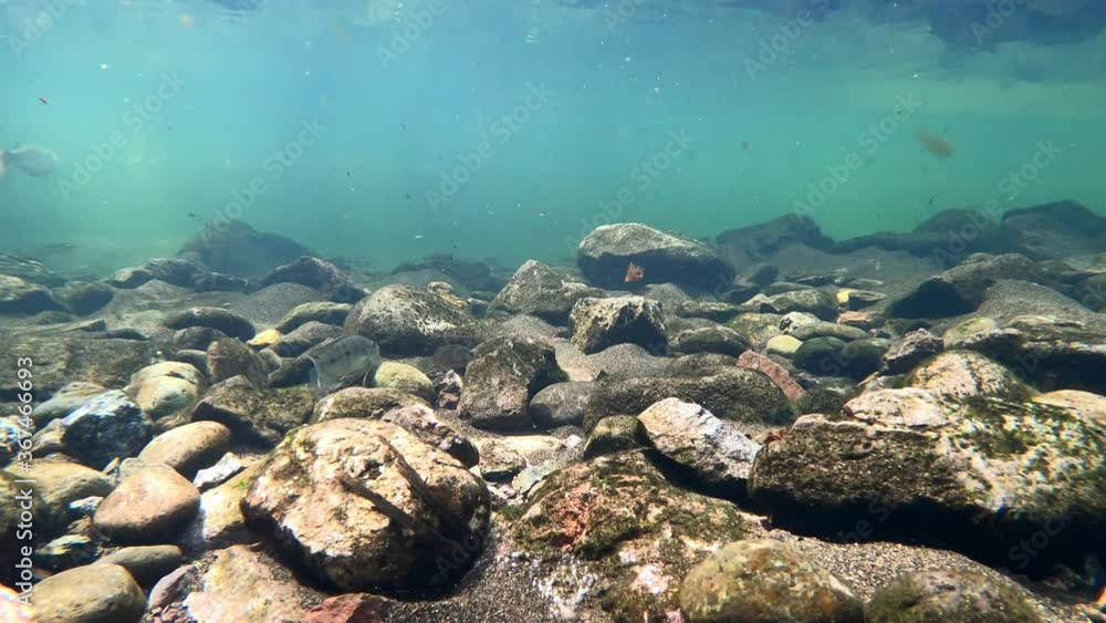 River Flow Over Rocks small fish apreciated swimming River Flow Over Rocks small fish apreciated swimming