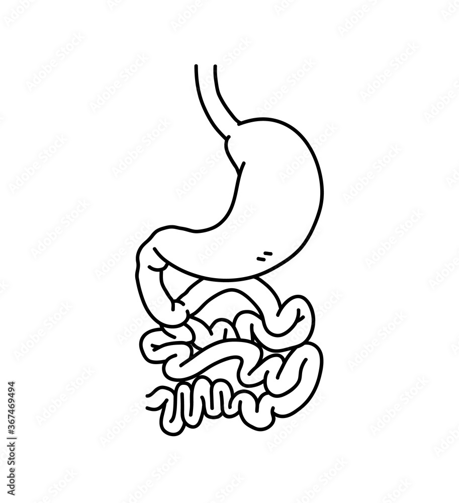 Stomach Clipart Black And White