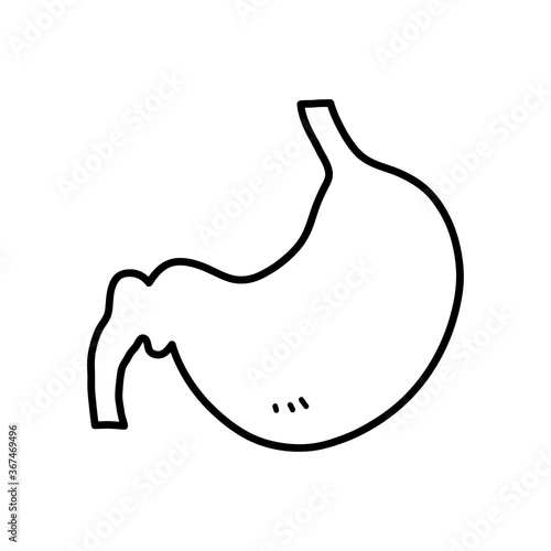 Stomach doodle, hand drawn vector doodle illustration of a human stomach internal organ, isolated on white background.