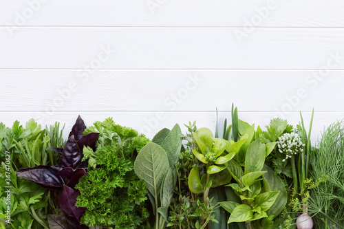 Fresh herbs from the garden on a white table with copy space for text. A large collection of aromatic herbs and other ingredients for cooking.