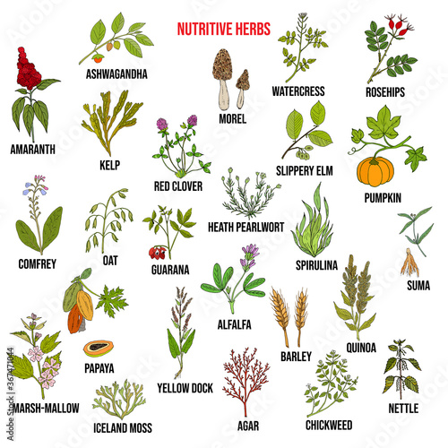 Best nutritive herbs set