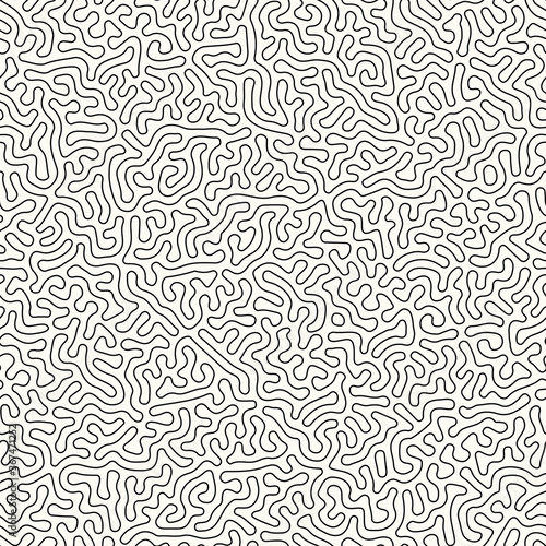 Fototapeta Naklejka Na Ścianę i Meble -  Abstract organic background, natural maze labyrinth, reaction diffusion pattern, black and white organic shapes
