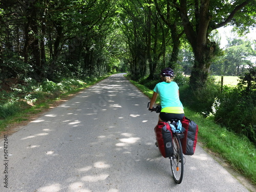 Fototapeta Naklejka Na Ścianę i Meble -  jeune femme cycliste à bicyclette avec sacoche pour randonnée à vélo sur piste cyclable le long de la Loire et en Bretagne