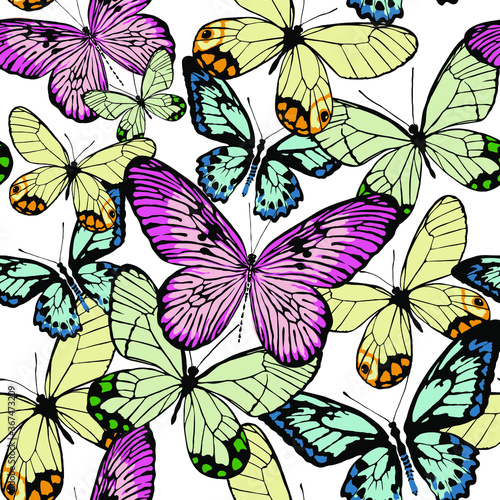 Multicolored butterflies  realistic style isolated on white background. Seamless pattern. Vector illustration