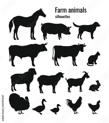 Farm animals silhouettes set of horse, pig, dog, bull, cow, cat, ram, sheep, goat, rabbit, turkey, goose, duck, rooster, chicken. Vector illustration © Yuliia Borovyk