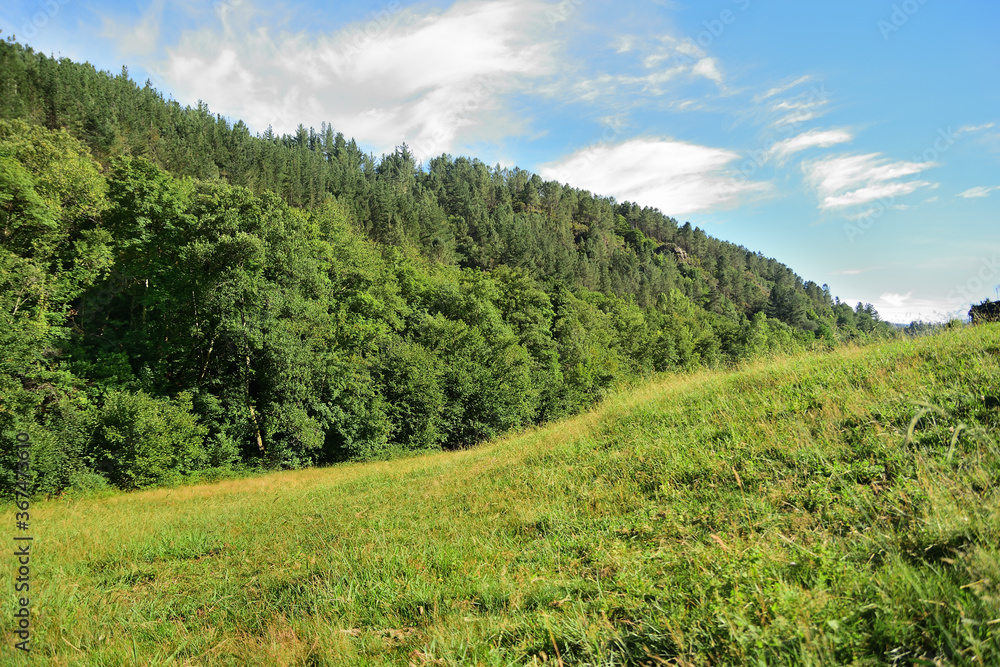 Prairie in the Caurel mountains in Galicia, Spain