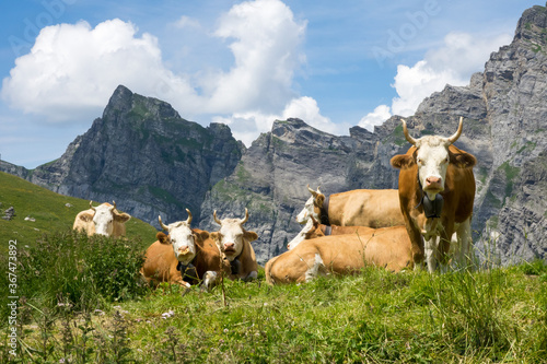 Tableau sur toile Alpage d'Anzeindaz, Vaud, Suisse