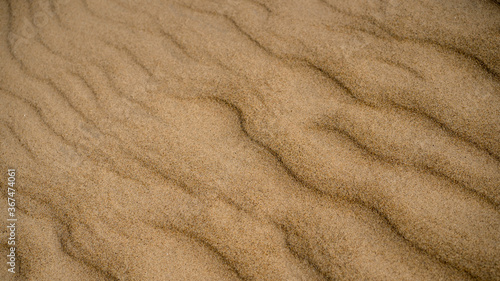 Fototapeta Naklejka Na Ścianę i Meble -  Pure sea yellow sand with a relief of waves in the spring in the Baltic. Fine golden sand repeats sea waves