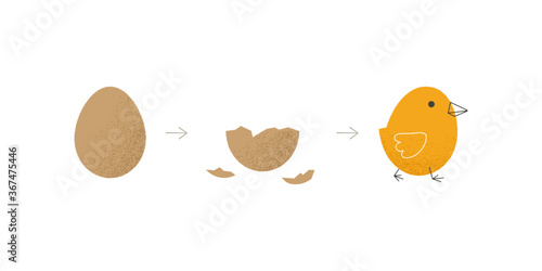 Chicken cracked egg. Broken eggshell newborn chicken, incubator theme abstract cartoon style. Vector illustration