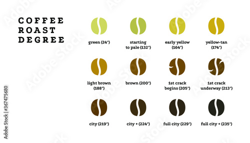 Coffee roast degree concept. Coffee beans isolated on white background, design template for cafe, restaurant, coffee point. Vector illustration