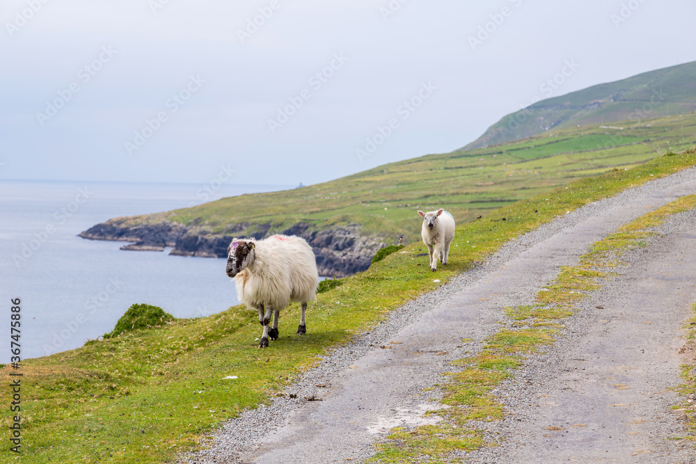 Beara peninsula, Ireland