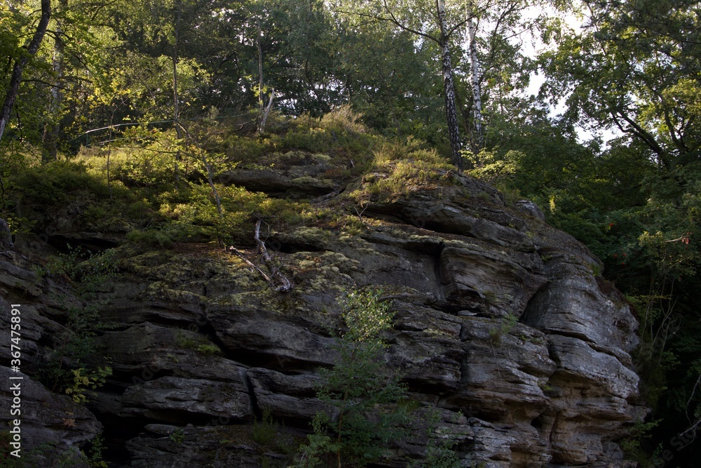rocks in the forest rocks in the forest