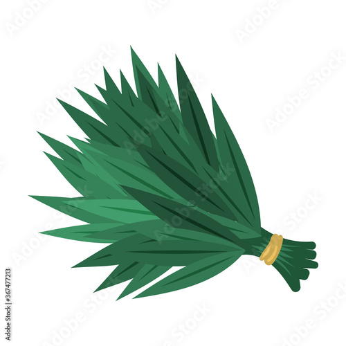 Sauna broom vector icon.Cartoon vector icon isolated on white background sauna broom.