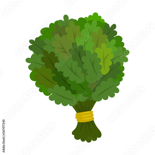 Sauna broom vector icon.Cartoon vector icon isolated on white background sauna broom.