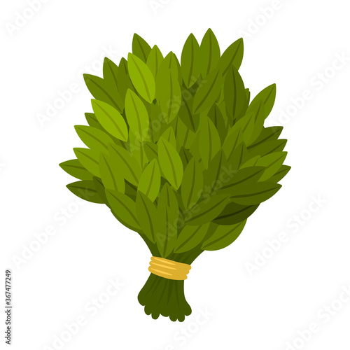 Sauna broom vector icon.Cartoon vector icon isolated on white background sauna broom.