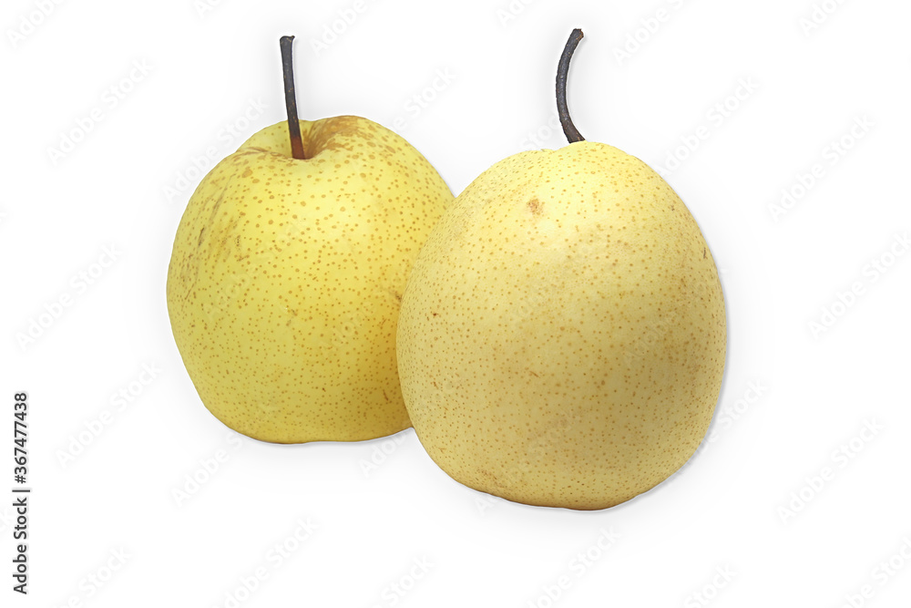 Chinese pears or Chinese pears have many other names in Japan known as nachi in Korea, called shingo, a tree in the family Rosaceae. Chinese pears or Chinese pears have many other names in Japan known as nachi in Korea, called shingo, a tree in the family Rosaceae.