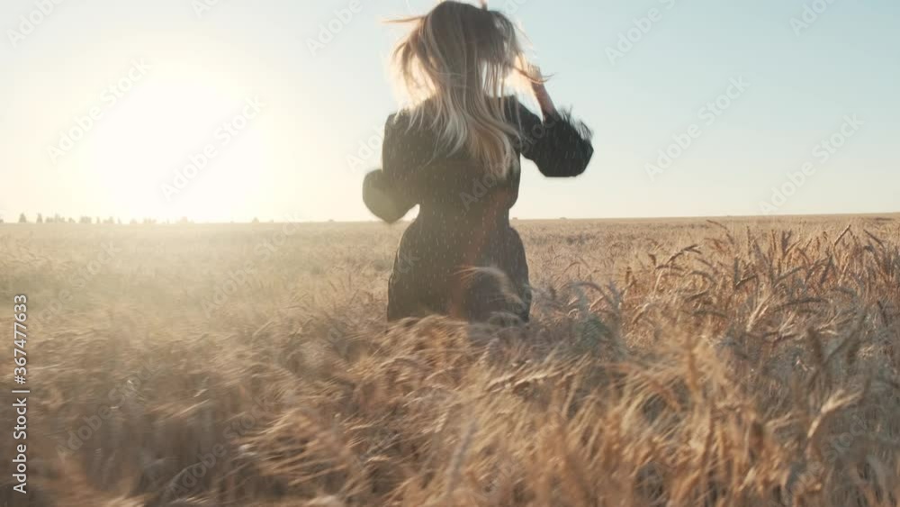 Beautiful blonde in a wheat field in a black dress. Beautiful sunset sun on a summer evening. Beautiful blonde in a wheat field in a black dress. Beautiful sunset sun on a summer evening.