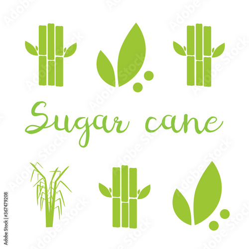 Sugar cane illustration. Sugar and sugar cane labels