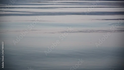 ripples and waves on water surface of river at sunset, close up full HD stock video footage background in real-time