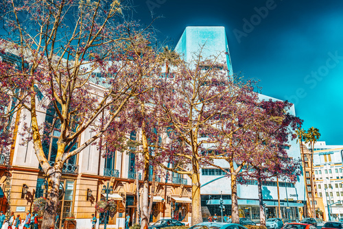 View of the fashionable street Rodeo Drive in Hollywood, LA.