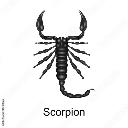 Scorpion vector icon.Realistic vector icon isolated on white background scorpion.