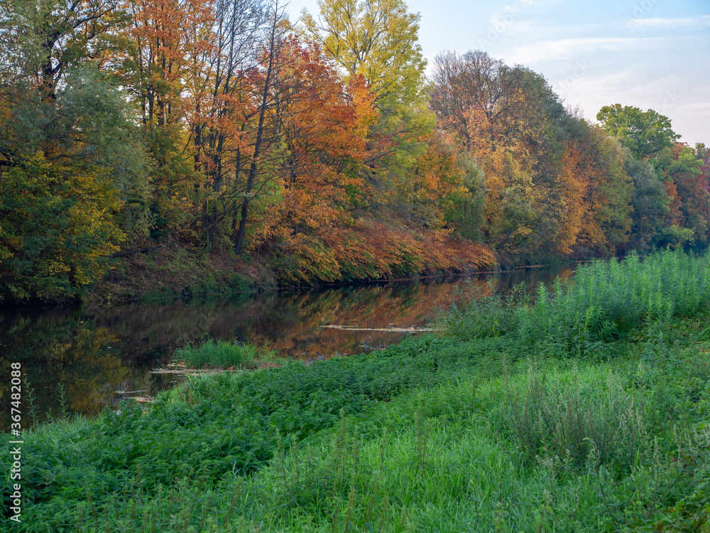 Autumn landscape of the colorful tree leaves along the river. View from the river bank covered with green grass.