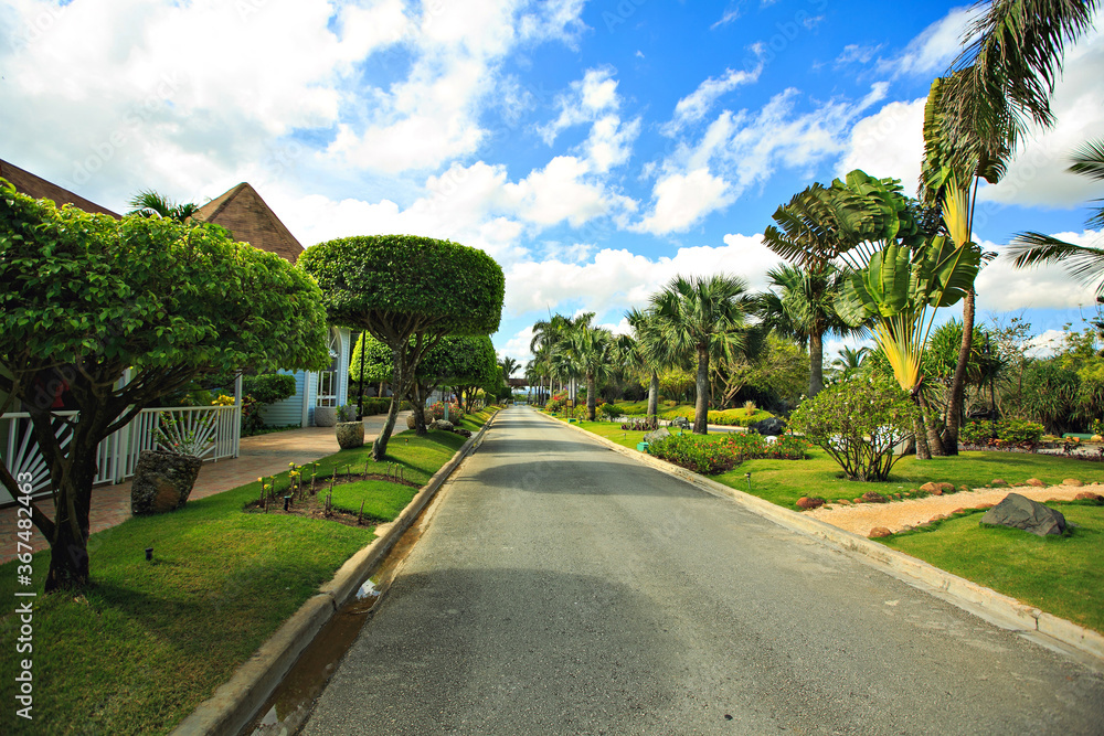 road with lawns and palm trees in tropical country