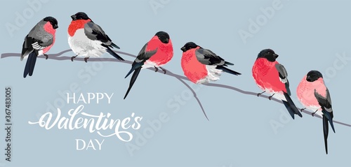 Happy Valentines Day. Collection of birds, funny Bullfinches.